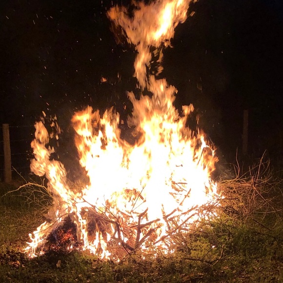 Meet your Posher, Barri - Picture 2 of 3